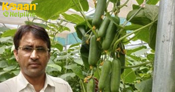 यह शिक्षक, किसान, राज्य सरकार अवार्ड पॉलीहाउस और ओपन फार्मिंग में ककड़ी खेती के माध्यम से प्रति वर्ष 35 लाख का लाभ अर्जित करता है